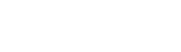 The LE Brands Company